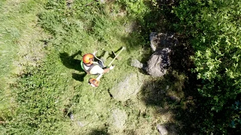 Worker cutting grass Stock Footage 171634618