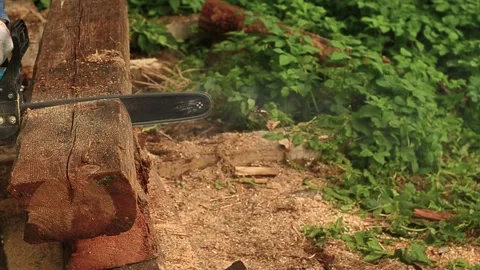 Worker cutting logs with a chainsaw in forest. Video stock 322511911