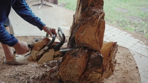 Worker Cutting Rotted Tree Stump With Chainsaw Near Garden Patio 스톡 동영상 339070494
