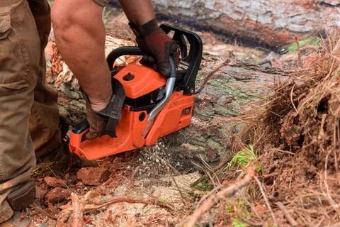 Worker cutting uprooted broken tree with sawn chainsaw after a violent storm Foto stock