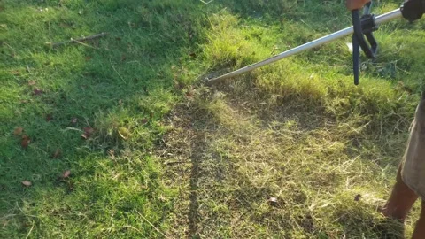 Worker Cutting Weeds with a Brush Cutter 4K Stock Footage 238763784