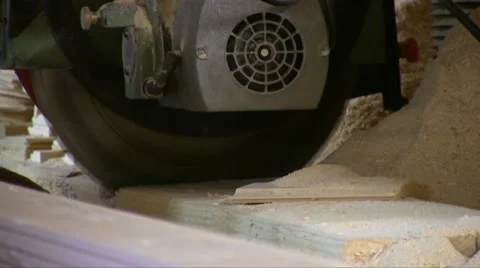 Worker Cutting Wood Board With Circular Saw Stock Footage 56263291