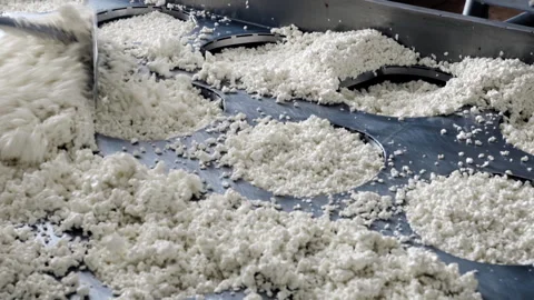 Worker of dairy factory uses tool to distribute cottage cheese for packaging Vídeo Stock 200514587