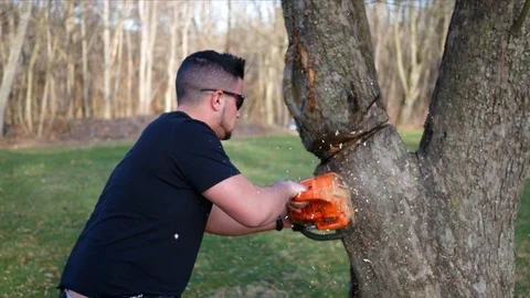 A worker dangerously cuts at a tree with chainsaw while under a large branch ALT Stock Footage 86715463