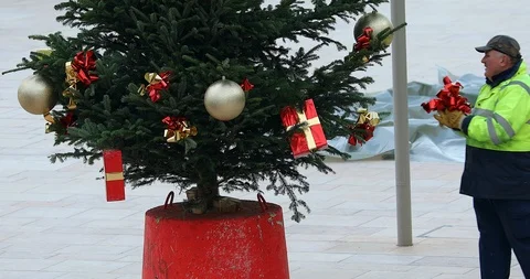 Worker Decorate The Christmas Tree Stock Footage 99501489