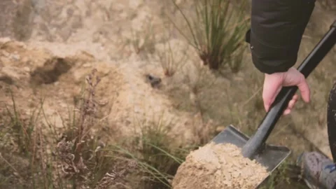 Worker digging with showel. man searching for treasures Stock Footage 120017079