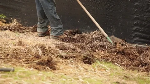 Worker Distributing Hay Vídeo Stock 81751486