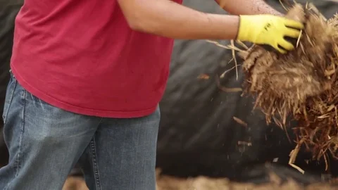 Worker Distributing Hay Vídeo Stock 81751692
