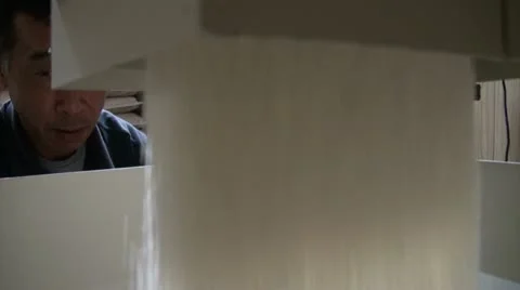 Worker is dropping rice into a basket in a modern factory in Japan Vídeo Stock 16589309