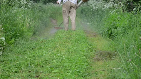 Worker farmer cut grass in garden with weed trimmer Stock Footage 33278176