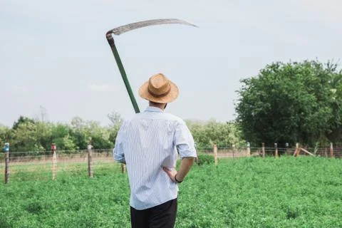 Worker in the field Stock Photos