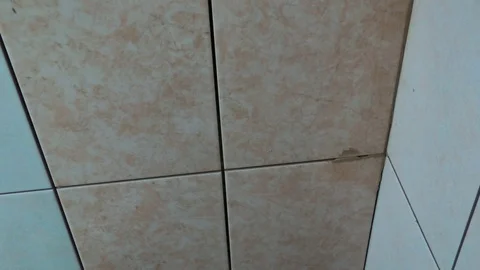 Worker fills the seams of tile Video stock 89580539