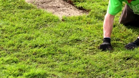 Worker Fixing Lawn With Rolled Turf Grass Stock Footage 76627745
