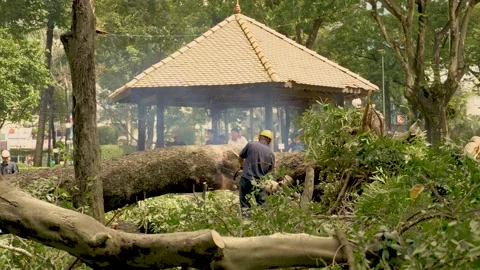 Worker Stockbeeldmateriaal 139946599