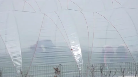 Worker in a forcinghouse Stock Footage 63369899