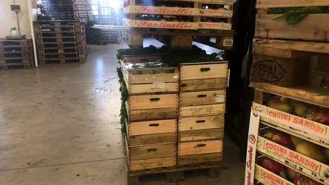 Worker: Forklift 스톡 동영상 103089610