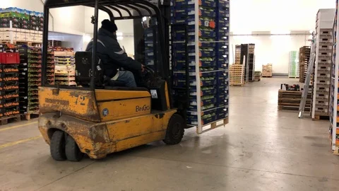 Worker: Forklift Video stock 103089718