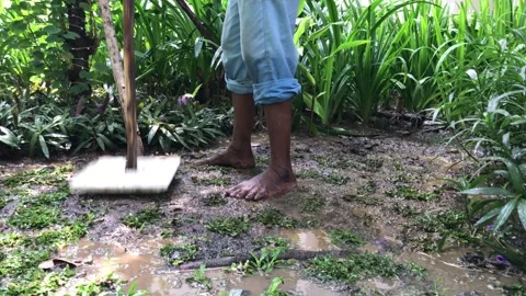 Worker Gardener Working Bare Feet handmade tool smashing the muddy soil Stock Footage 307915435