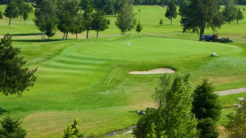 A worker gets into a lawn mower and cuts the grass on a golf course. Stock Footage 262236306