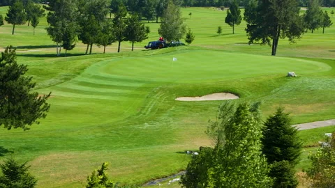 A worker gets into a lawn mower and cuts the grass on a golf course. Stock Footage 262236343