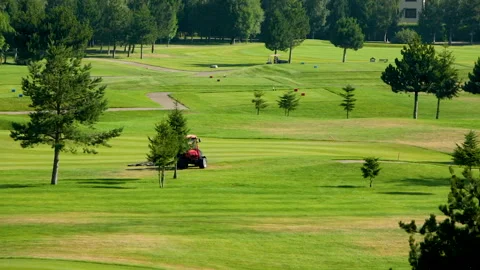 A worker gets into a lawn mower and cuts the grass on a golf course. Stock Footage 263421110