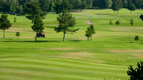 A worker gets into a lawn mower and cuts the grass on a golf course. Stock Footage 263422399