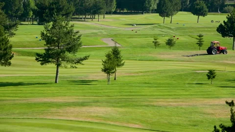 A worker gets into a lawn mower and cuts the grass on a golf course. Stock Footage 263422539