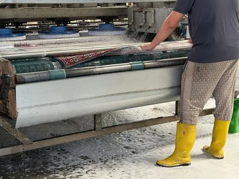 Worker guiding patterned rug through industrial washer with rotating brushes Stock Photos