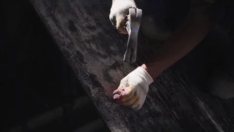 Worker hammer a nail in protective gloves Stock Footage 134385227
