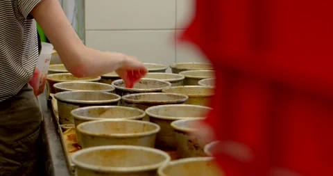Worker hand inspecting rows of used metal baking tins in commercial bakery Stock Footage 344583574