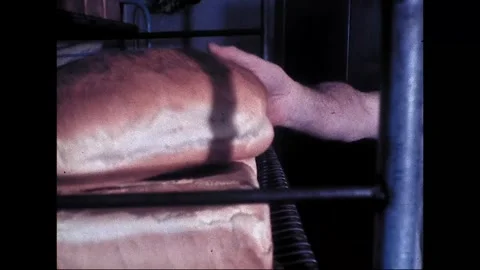 Worker Handles Loaves Inside Australian Bread Factory, 1979 Stock Footage 339307378