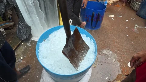 Worker Handling Crushed Ice in a Large Container at Kawran Bazar, Dhaka Stock-Footage 343154889
