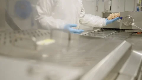Worker Handling Formed Minced Chicken at Industrial Packing Station Stock Footage 339007846