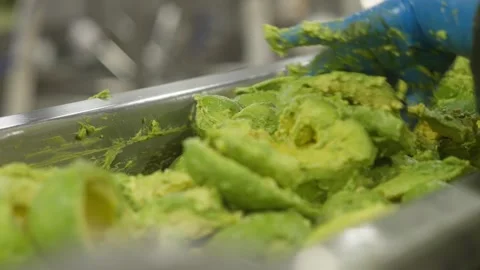 Worker Handling Mashed Avocado Mixture in Food Processing Environment Vidéo 334649468