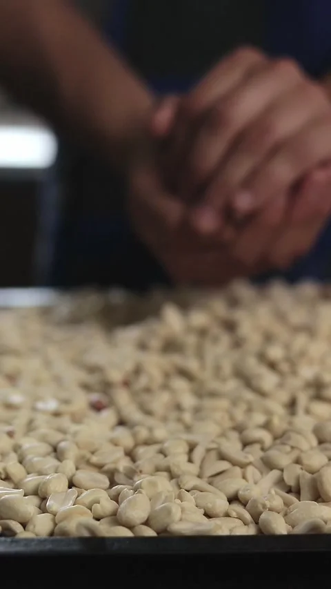 Worker handling raw peanuts before roasting in an artisan process Stock Footage 305855914