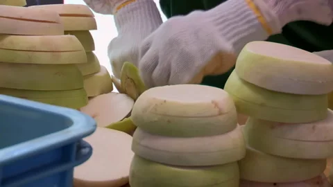 Worker handling stacks of sliced daikon radish at a food processing facilit.. Video stock 308325188