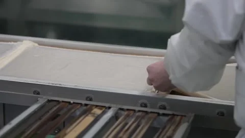 Worker Handling a Tray of Freshly Steamed Kuzumochi Stock Footage 340009512