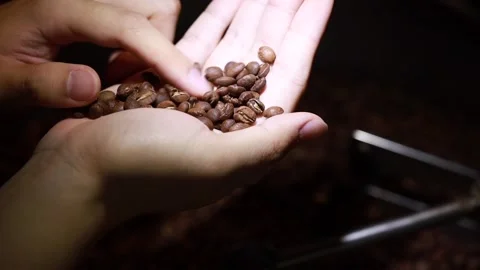 Worker handpicking and checking quality bad roasted coffee beans Stock Footage 134502570