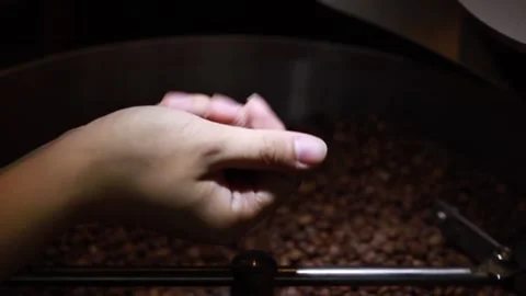 Worker handpicking and checking quality bad roasted coffee beans Stock Footage 134502571