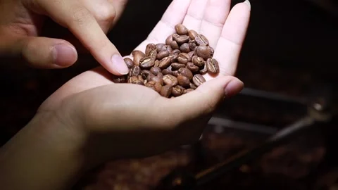 Worker handpicking and checking quality bad roasted coffee beans Stock Footage 134502577