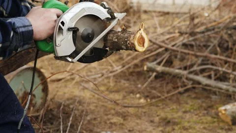 Worker hands with electric circular saw cuts part from apple tree trunk Stock Footage 198568410