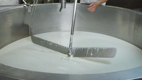 Worker hands remove stirring blade from large reservoir in dairy workshop Video stock 157496256