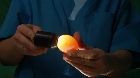 Worker inspecting chicken eggs with X-ray device at factory Видео 295600722