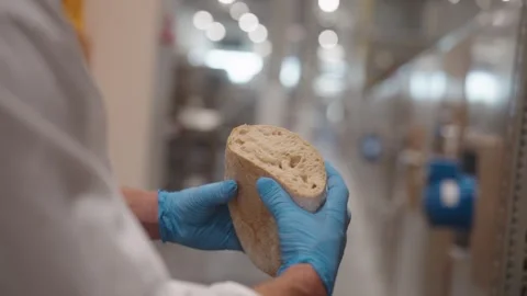Worker inspecting fresh bread loaf in food production facility Stock Footage 334938674