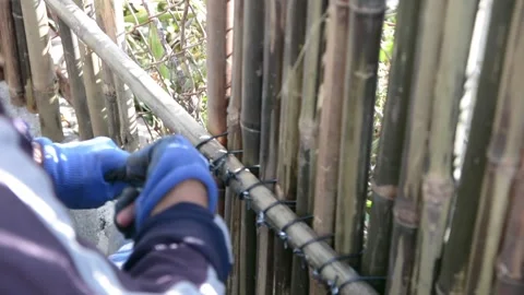 Worker install bamboo wall panels tied together with aluminum wire to cover a ch Video stock 303429576