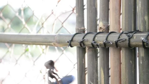 Worker install bamboo wall panels tied together with aluminum wire to cover a ch Stock Footage 303429593