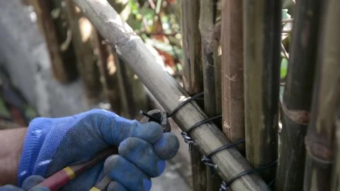 Worker install bamboo wall panels tied together with aluminum wire to cover a ch Stock Footage 303429595