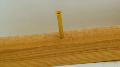 Worker installs plastic wall anchor into wood with hammer Stock Footage 304403655