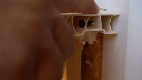 A worker installs a plug mounted on the window sill Stock Footage 77830362