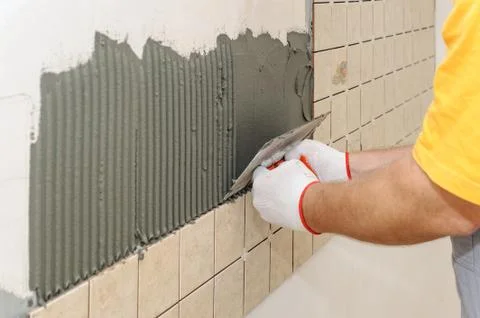 Worker instiling tiles on the wall in the kitchen. Stock Photos